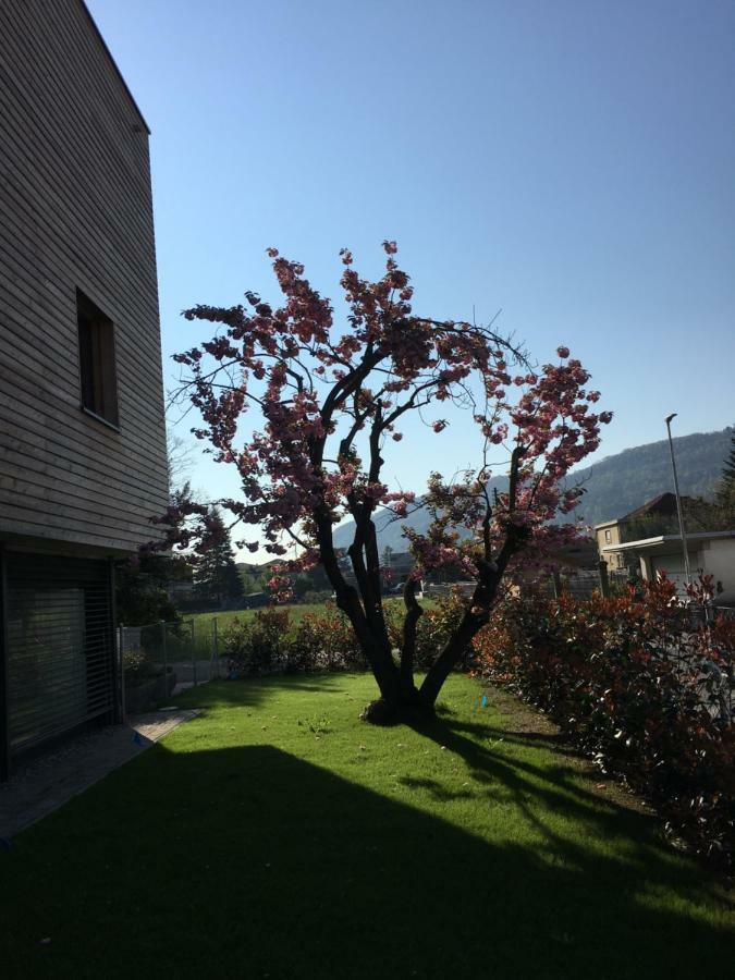 Oasi Di Laura A Balerna Daire Dış mekan fotoğraf